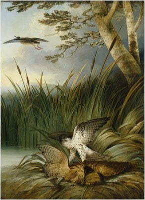 Philip Reinagle Harrier Killing a Bittern